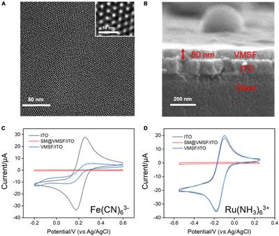 Silica nanochannels boosting Ru(bpy)32+-mediated electrochemical sensor for the detection of guanine in beer and pharmaceutical samples